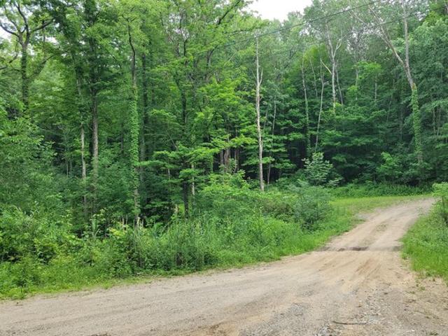 Land for sale in Lowell, Michigan