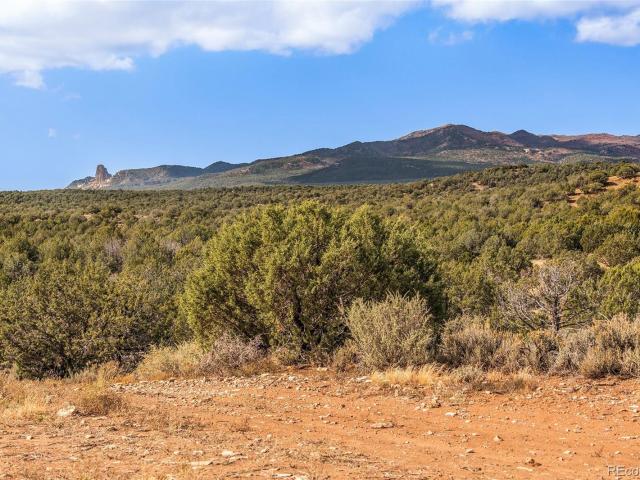 Farm for sale in Montezuma, Colorado