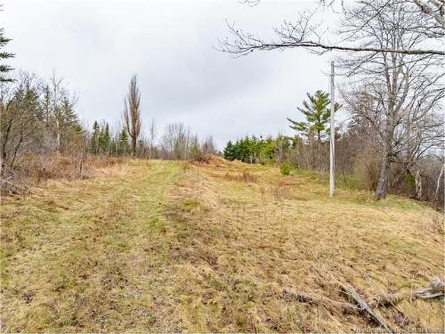 Land for sale in Harvey Station, New Brunswick