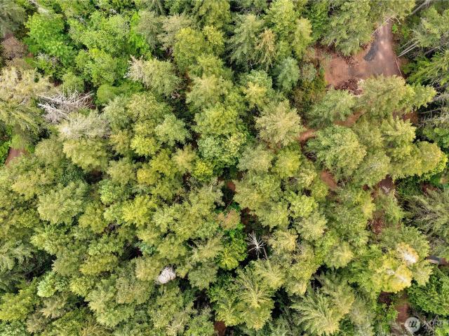 Land for sale in Olalla, Washington