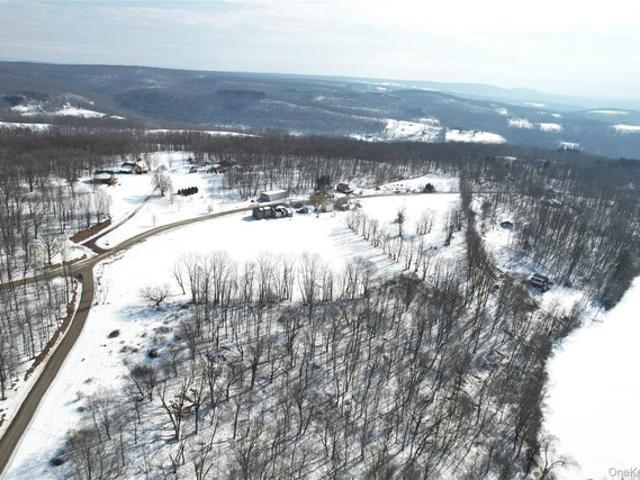 House for sale in Roscoe, New York