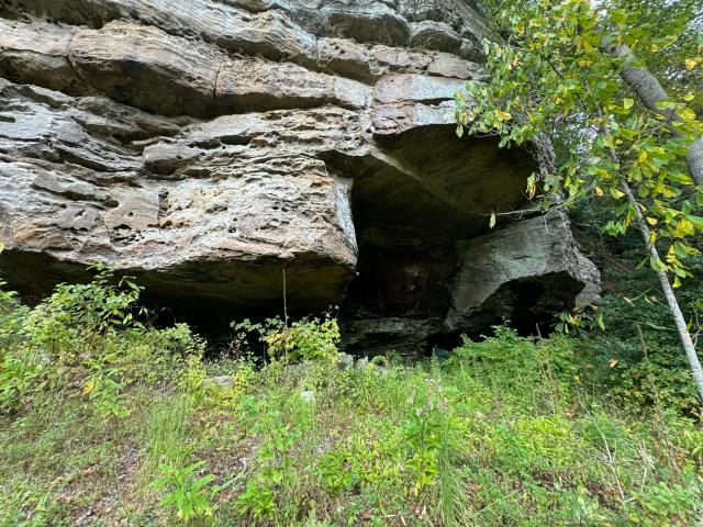 Land for sale in Rogers, Wolfe County