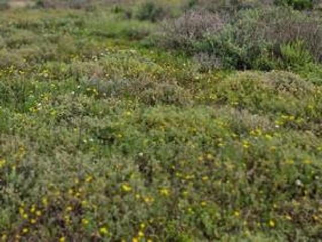Land for sale in Western Cape