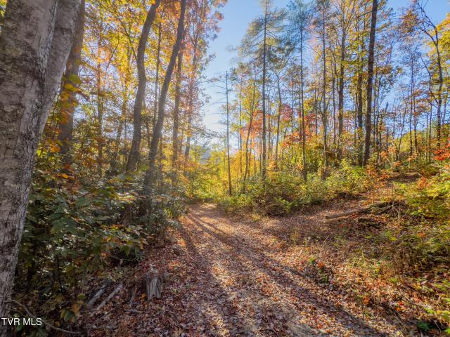 Land for sale in Tennessee