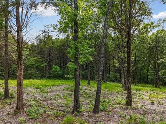 Land for sale in Dittmer, Missouri