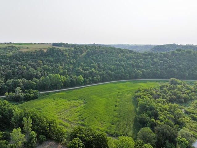 Land for sale in Millville, Wabasha County