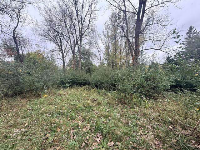 Land for sale in Sublette, Lee County