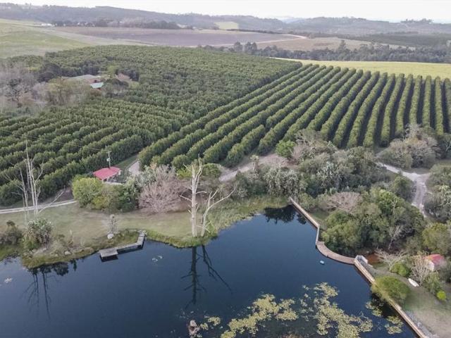 Farm for sale in Ugu District Municipality, Kwazulu-natal