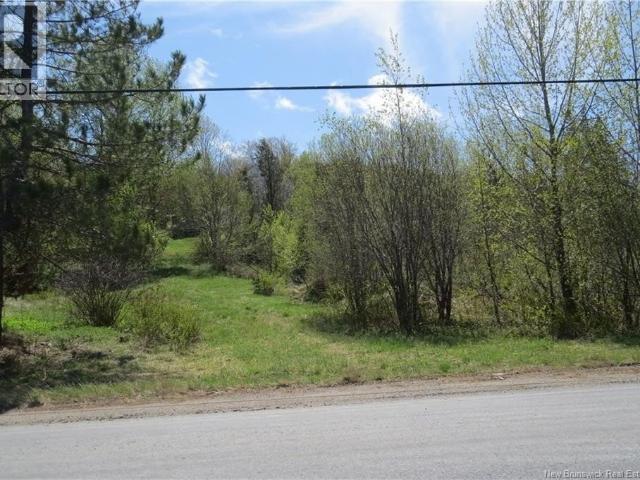 Land for sale in Napadogan, New Brunswick