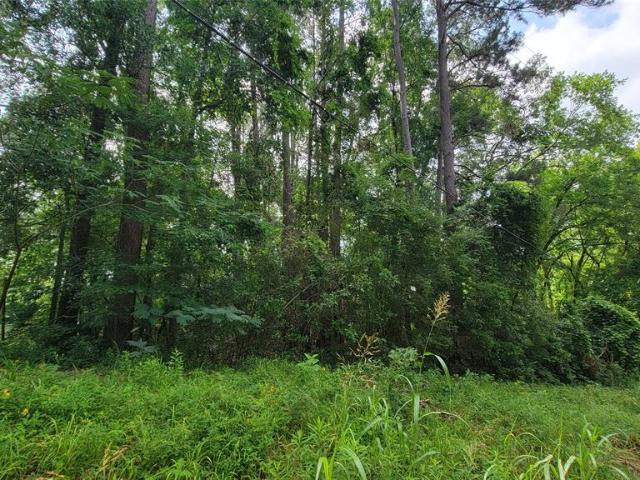 Land for sale in Livingston Land for sale in Livingston
