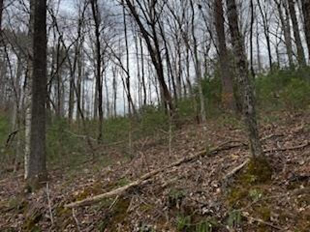 Land for sale in Hamilton, Georgia