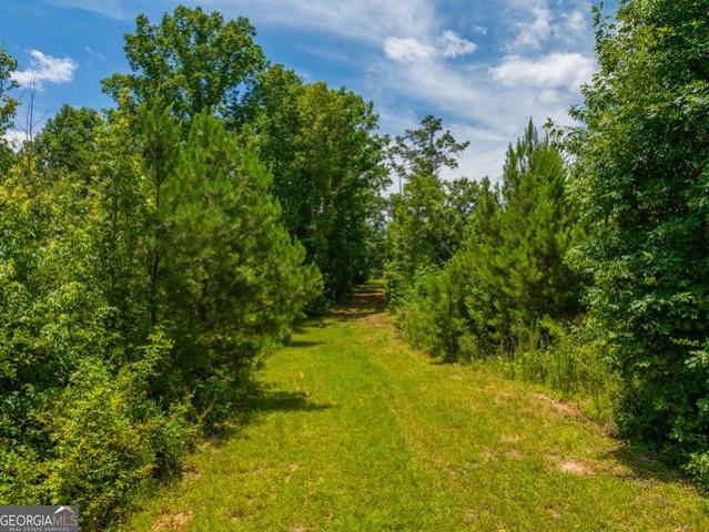 Land for sale in Madison, Georgia
