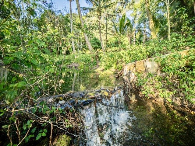 Land for sale in Hakalau, Hawaiʻi County