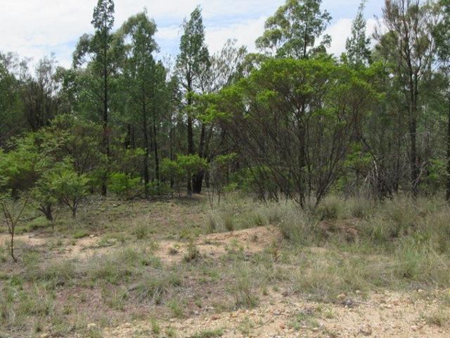 Land for sale in Goranba, Queensland