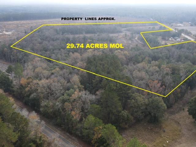 Land for sale in Geneva, Alabama