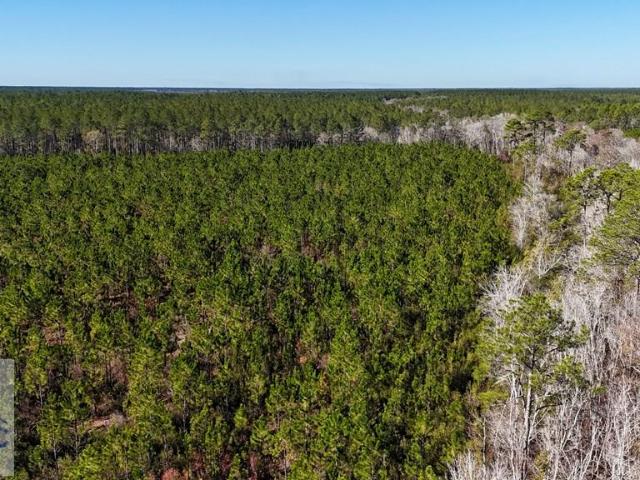 Land for sale in Odum, Georgia