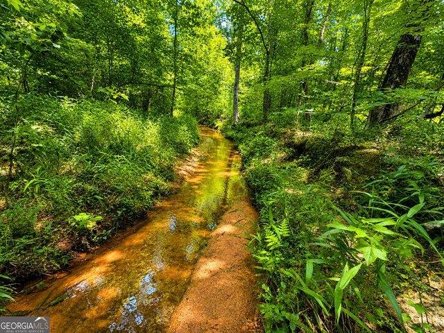 Land for sale in Madison, Georgia