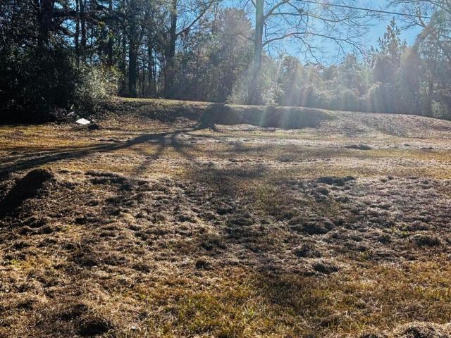 House for sale in Morton, Mississippi
