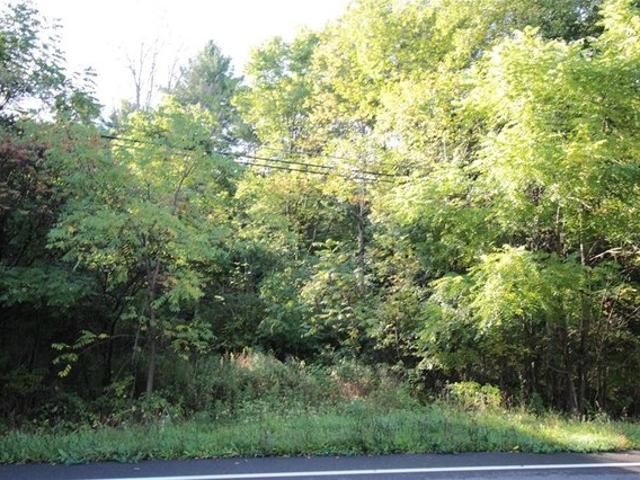 Land for sale in City of Binghamton, Broome County