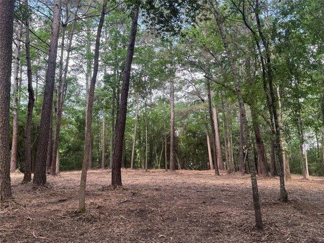 Land for sale in Walker, Texas