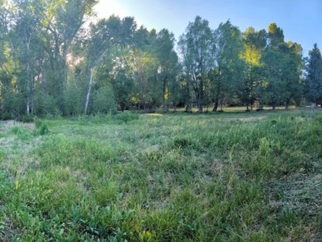 Land for sale in South Fork, Rio Grande County