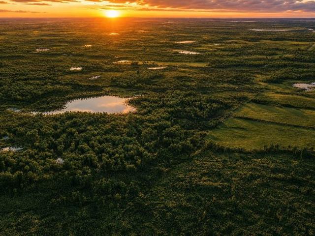 Land for sale in Pequot Lakes, Minnesota