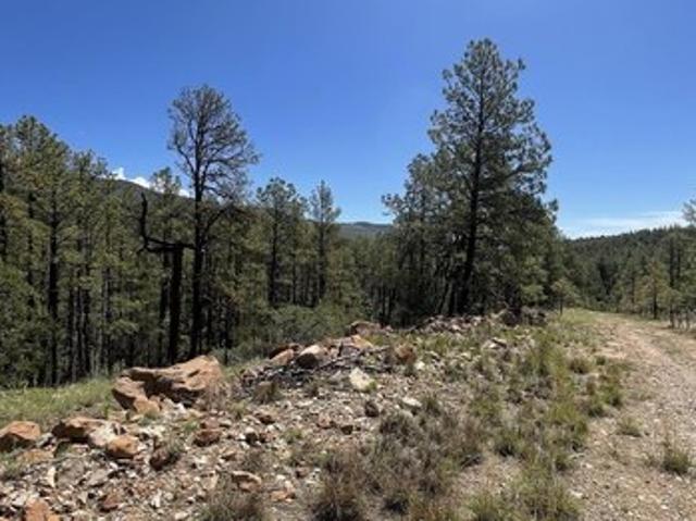Land for sale in Timberon, New Mexico