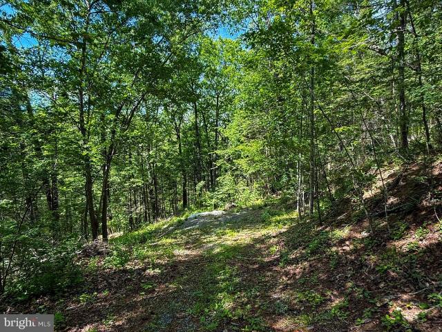 Land for sale in West Virginia