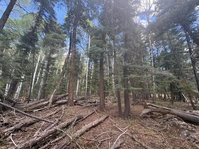 Land for sale in Chama, New Mexico