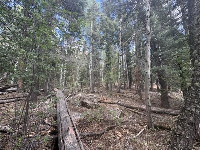Land for sale in Chama, New Mexico