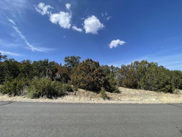 Land for sale in Sandia Park, New Mexico