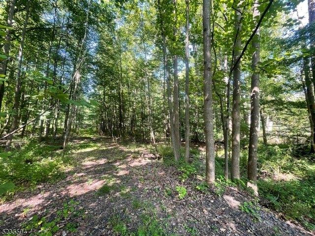 Land for sale in Warren, New Jersey