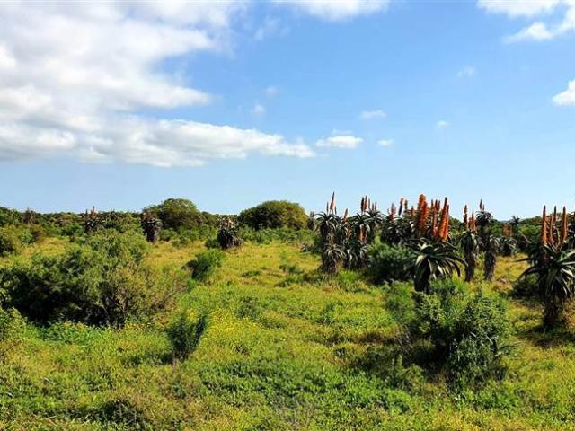 Commercial Land for sale in Cape Town, Atlantic Seaboard