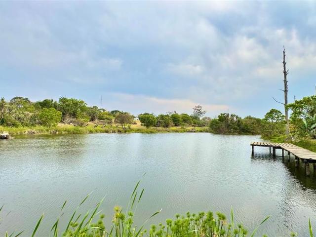 Farm for sale in Ugu District Municipality, Kwazulu-natal