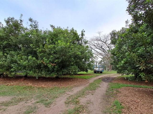 Farm for sale in Ugu District Municipality, Kwazulu-natal