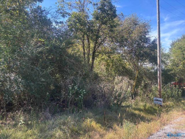 Land for sale in Bridgeport, Jackson County