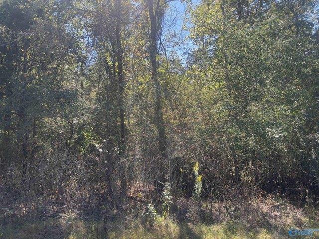 Land for sale in Bridgeport, Jackson County