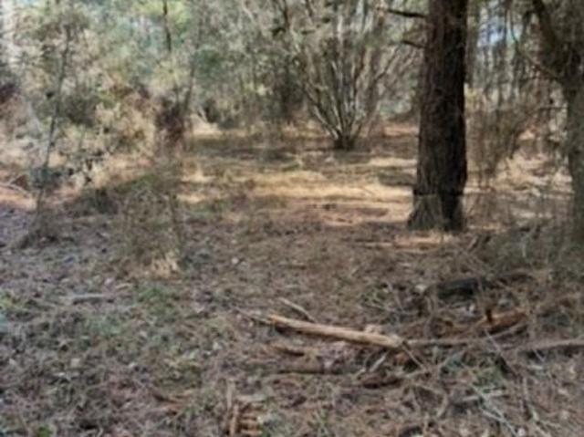 Land for sale in Picayune, Mississippi