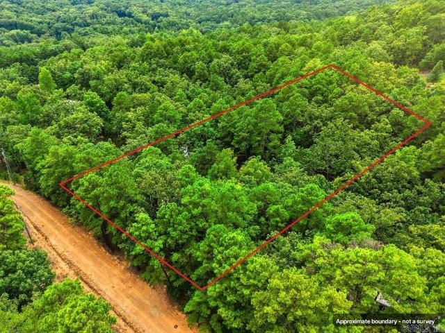 Land for sale in Quitman, Cleburne County