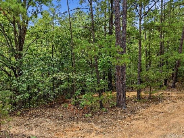 Land for sale in Quitman, Cleburne County