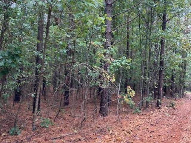 Land for sale in Fredericktown, Missouri