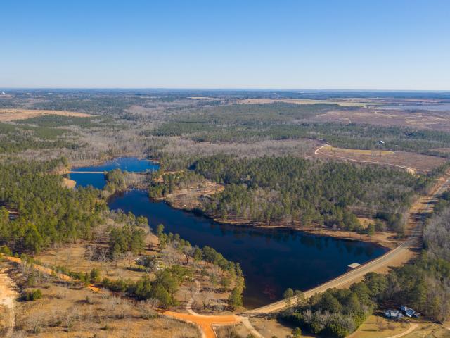 Land for sale in Butler, Georgia