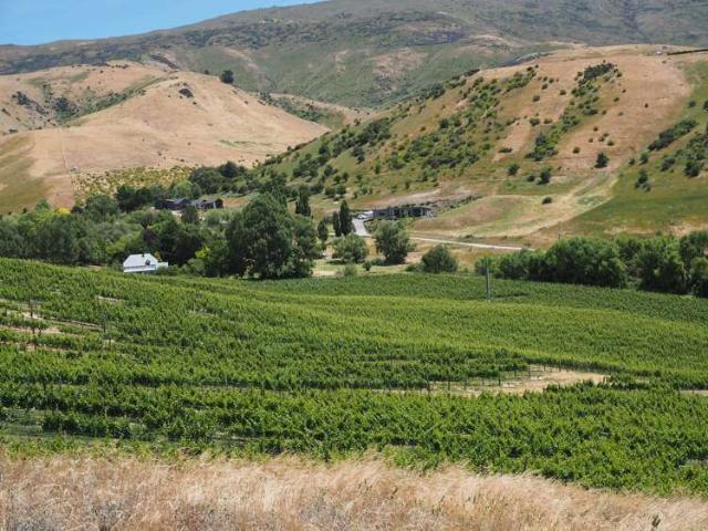 Land for sale in Otakou