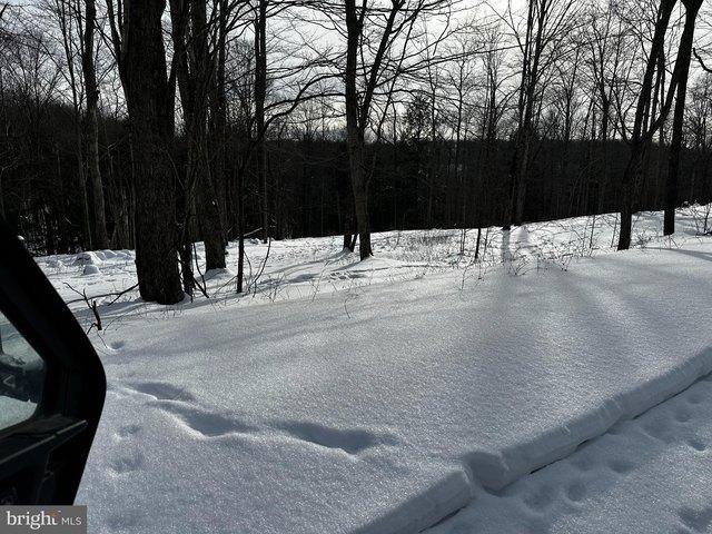 Land for sale in Coudersport, Pennsylvania