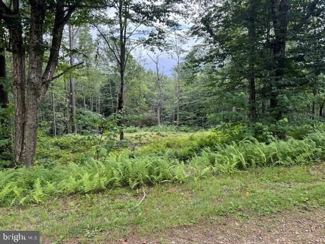 Land for sale in Coudersport, Potter County