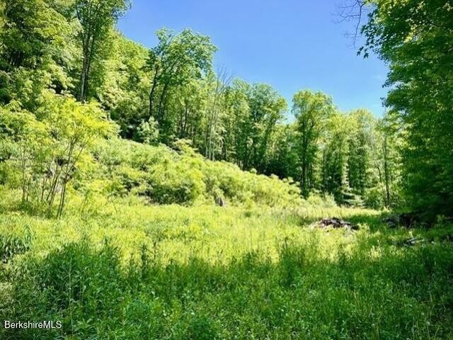 Land for sale in Berkshire, Massachusetts