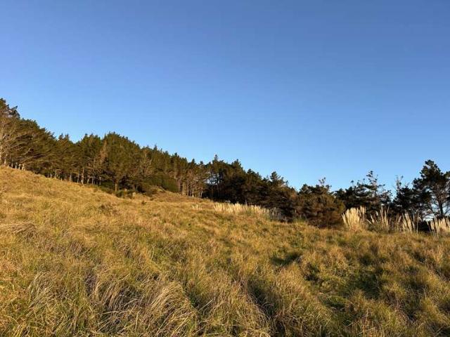 Property for sale in Fairburn, Northland