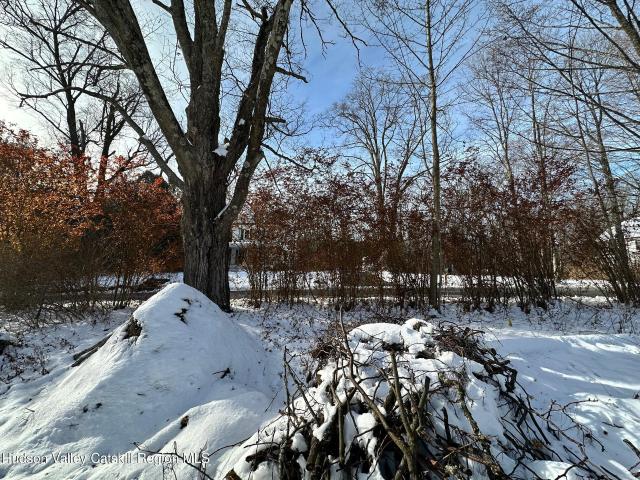 House for sale in Olive, New York