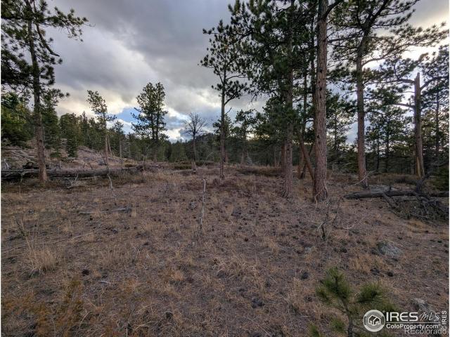 Land for sale in Colorado