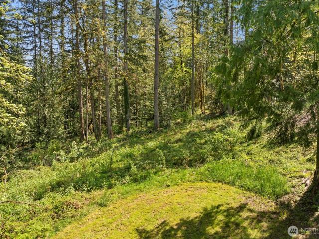 Land for sale in Fall City